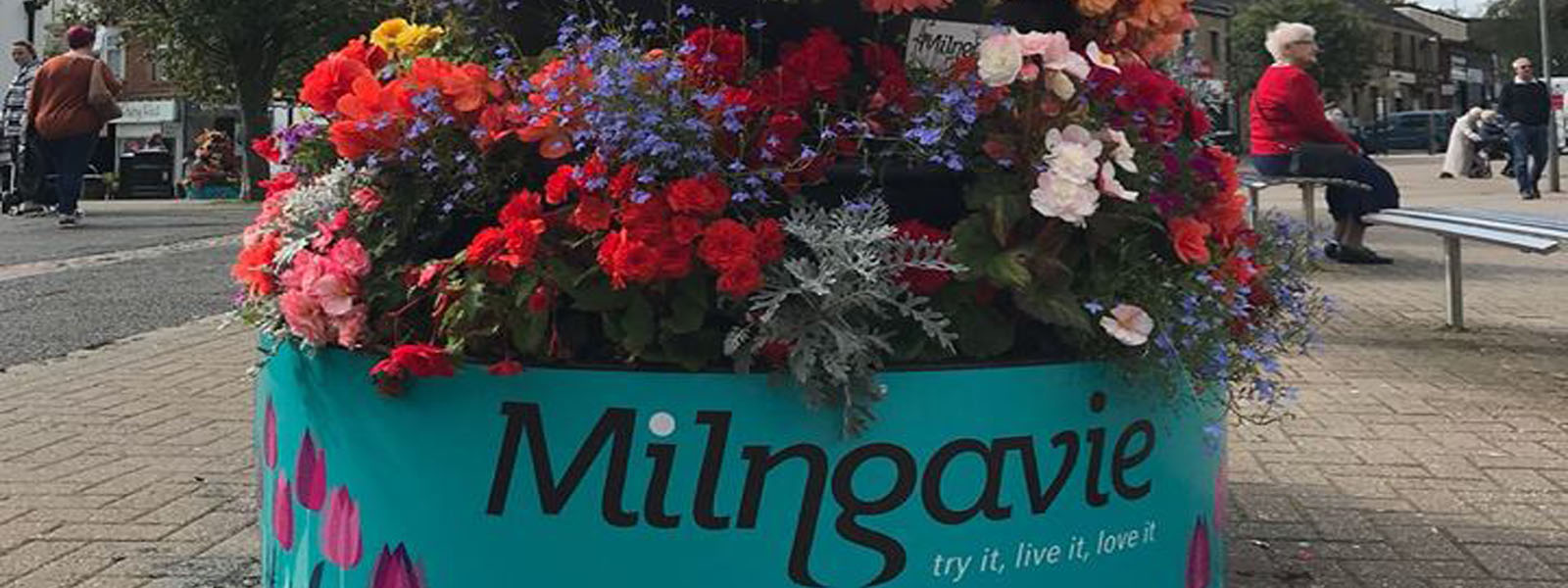 MilngavieBID.com