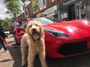 Classic Car Red